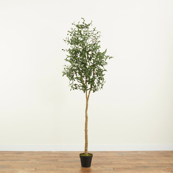 Primrue Villanueva 96'' Faux Olive Tree Tree in Pot Wayfair